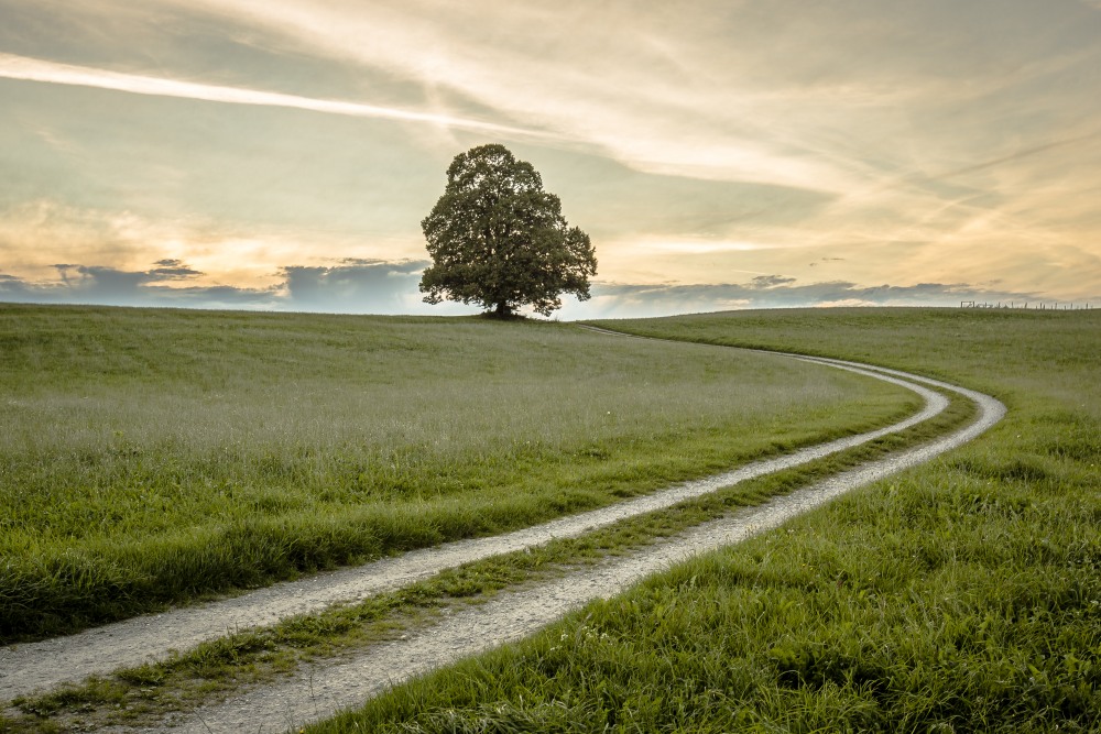 4. Platz Anton Kienle